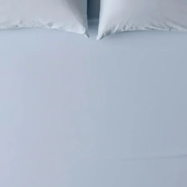 Ice Blue Bedsheet Set